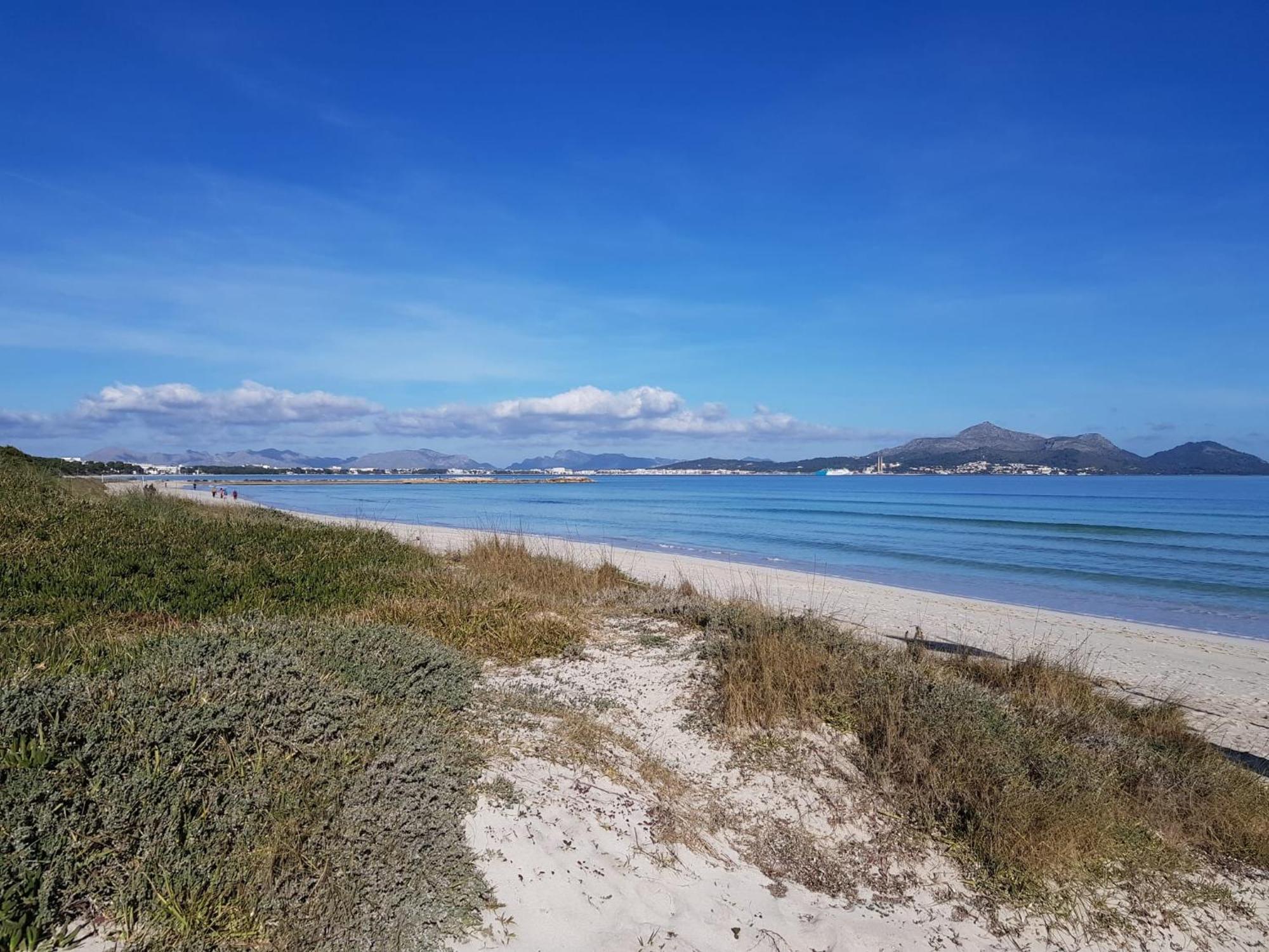 Ideal Property Mallorca - Villa Xisco Alcudia  Zewnętrze zdjęcie